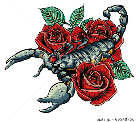 Detailed realistic scorpio in a decorative frame of roses. 69548756