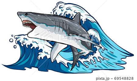 Cartoon Vector Illustration Of White Shark Designのイラスト素材 6954