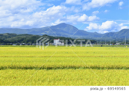 秋のはじめの田園風景と泉ヶ岳 69549565