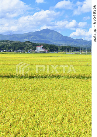 秋のはじめの田園風景と泉ヶ岳 秋のはじめの田園風景と泉ヶ岳 69549566