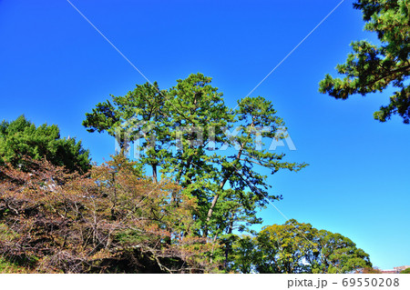 秋の小田原城 69550208