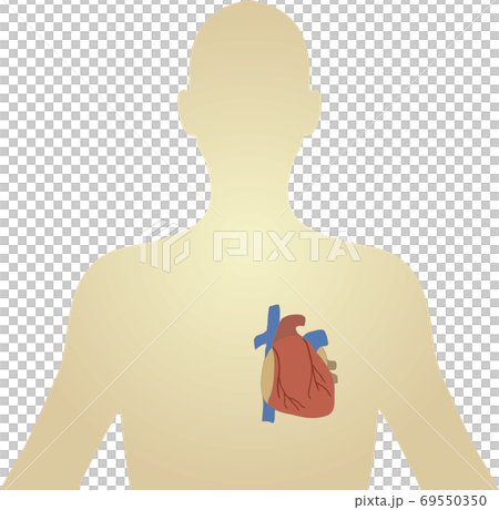 Illustration of a simple heart human figure Illustration of a simple heart human figure 69550350