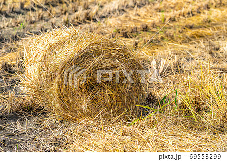 稲藁ロール　【長野県】 69553299