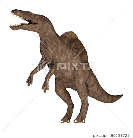 スピノサウルス のイラスト素材