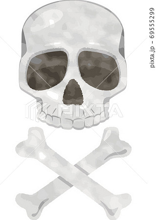 人間の頭蓋骨のイメージイラスト デフォルメ のイラスト素材