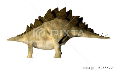 ステゴサウルス☆Stegosaur 69555771
