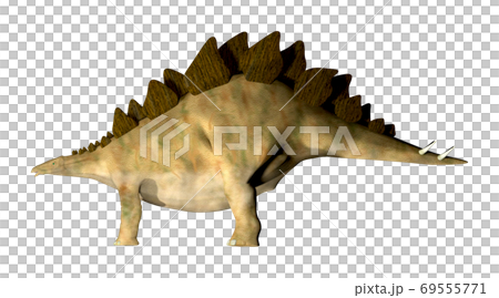 ステゴサウルス☆Stegosaur 69555771