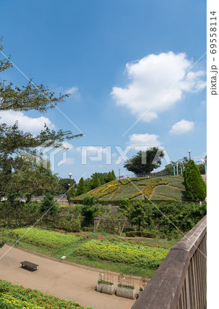 相模原麻溝公園 69558114