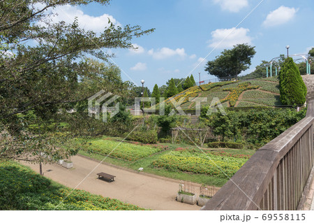 相模原麻溝公園 69558115