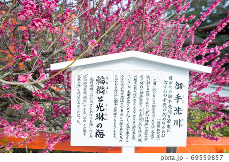 下鴨神社、御手洗川の「光琳の梅」と駒札 下鴨神社、御手洗川の「光琳の梅」と駒札 69559857