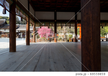 下鴨神社、橋殿から御手洗川の「光琳の梅」を眺める 下鴨神社、橋殿から御手洗川の「光琳の梅」を眺める 69559859