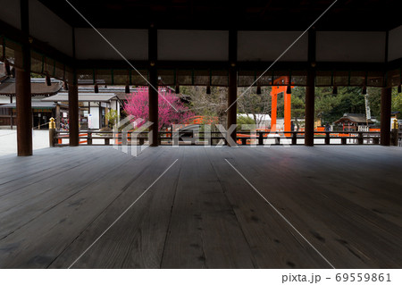 下鴨神社、橋殿から御手洗川の「光琳の梅」を眺める 69559861