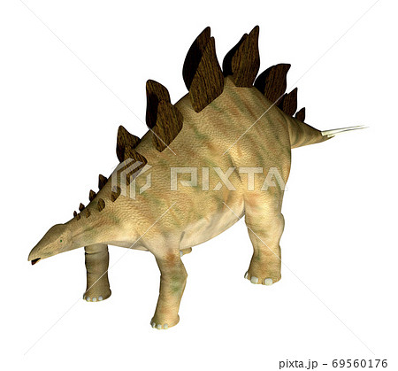 ステゴサウルス☆Stegosaur 69560176