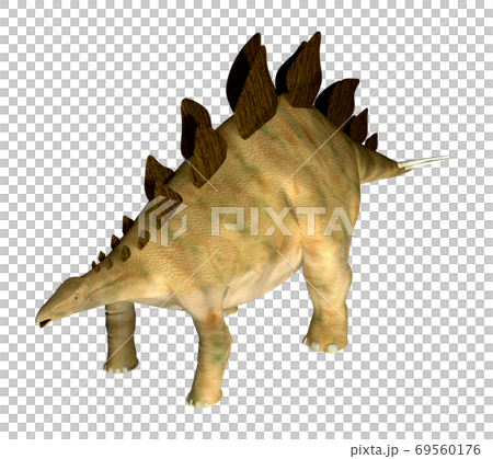 ステゴサウルス☆Stegosaur 69560176