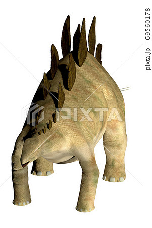 ステゴサウルス☆Stegosaur 69560178