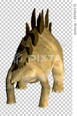 ステゴサウルス☆Stegosaur 69560178