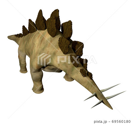 ステゴサウルス☆Stegosaur 69560180