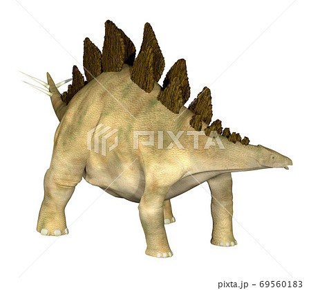 ステゴサウルス☆Stegosaur 69560183