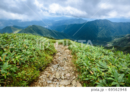 谷川岳天神尾根の稜線 69562948