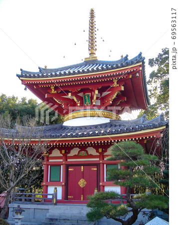 6番札所 安楽寺 6番札所 安楽寺 69563117