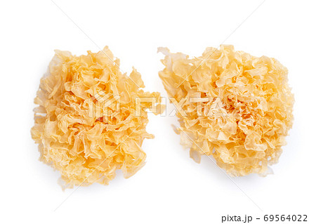 木耳 キクラゲ きのこ 69564022