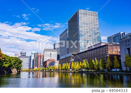 （東京）日比谷濠　イチョウ並木　紅葉 69564315