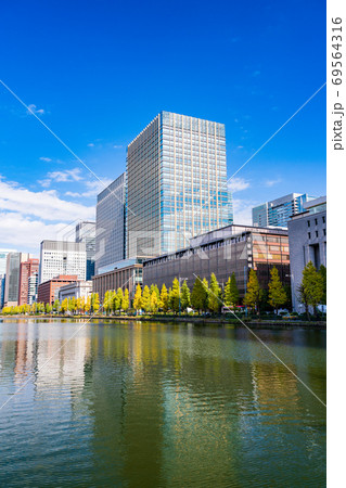 (東京)日比谷濠 イチョウ並木 紅葉 (東京)日比谷濠 イチョウ並木 紅葉 69564316