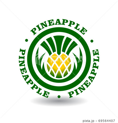 Simple round logotype with pineapple symbol. Flat vector icon isolated on white 69564407