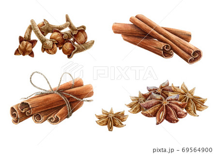Cinnamon, star anise and clove watercolor set. Cinnamon, star anise and clove watercolor set. 69564900
