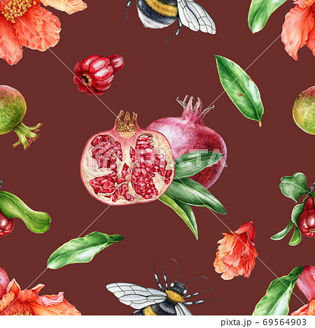 Pomegranate Fruit And Flower Seamless Pattern のイラスト素材