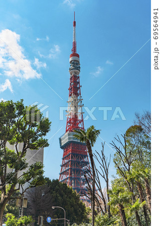 [東京・港区] 銀杏坂のヤシの木の背景に立つ東京タワー 69564941