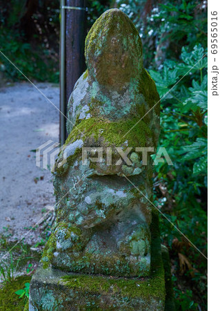 島根県松江市玉作湯神社内の境内社付近の風化し苔むした狛犬 島根県松江市玉作湯神社内の境内社付近の風化し苔むした狛犬 69565016