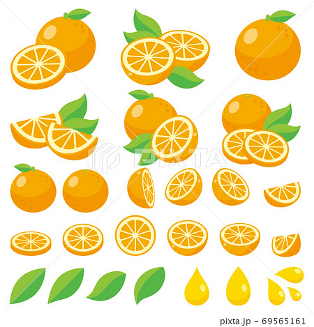 オレンジ カットフルーツのイラスト素材