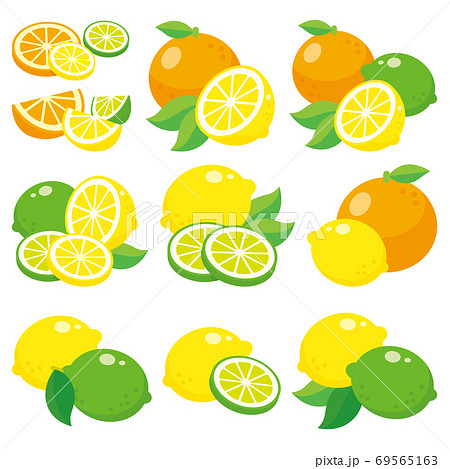 カットフルーツ 柑橘 オレンジ レモン ライムのイラスト素材