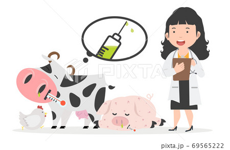 Young veterinarian woman standing together with hen , cow, pig 69565222
