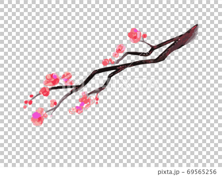 New Year's plum branch New Year's plum branch 69565256