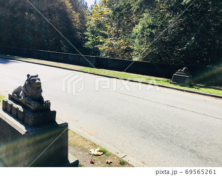 ライオンゲート 69565261