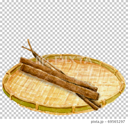 ごぼうとザル 根菜 野菜 素材【水彩】 69565297