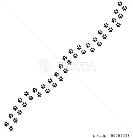 Track of cat dog tracks, footprint, design 69565553