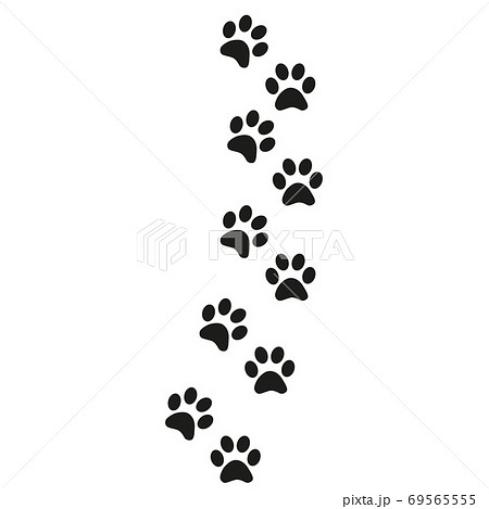 Track of cat dog tracks, footprint, design 69565555