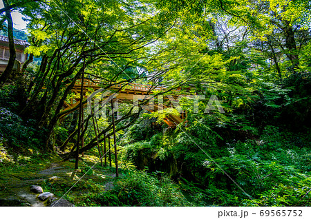 こおろぎ橋(2019年/令和元年 架け替え完了後)北陸山中温泉 こおろぎ橋(2019年/令和元年 架け替え完了後)北陸山中温泉 69565752
