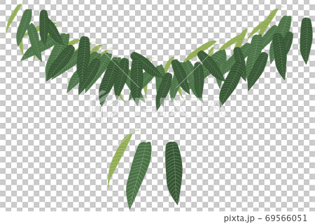 Chestnut leaves 69566051