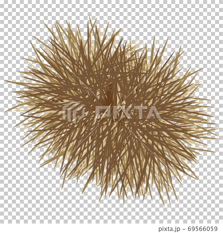 伊賀栗子 69566059