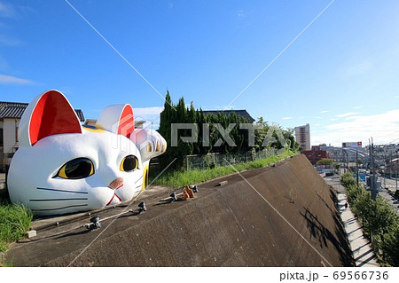 常滑市の見守り猫（招き猫）とこにゃん　Huge Maneki Neko in Tokoname 69566736