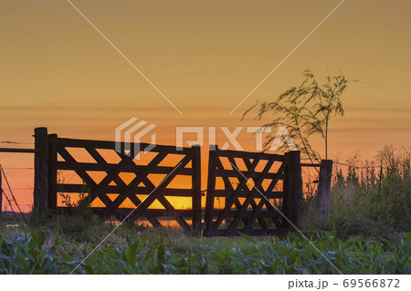Pampas sunset landscape, La Pampa, Argentina 69566872