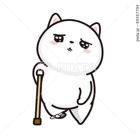 A White Cat That Seems To Have A Broken Bone Stock Illustration