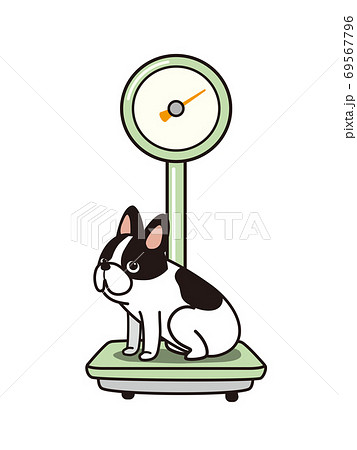 Animal Circle Weighing Scales