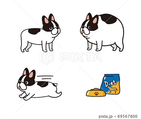 フレンチブルドッグのダイエットイラストレーションセット フレンチブルドッグのダイエットイラストレーションセット 69567800