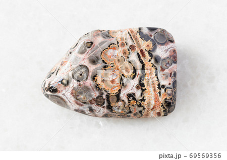 polished Leopard Skin Jasper Jaguar Stone on white 69569356