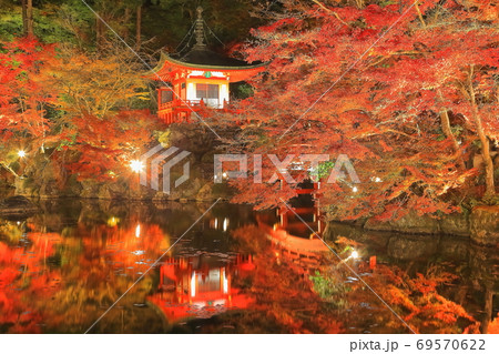 【京都府】 醍醐寺の紅葉(ライトアップ) 69570622